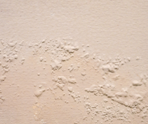 Example of moisture damage in home