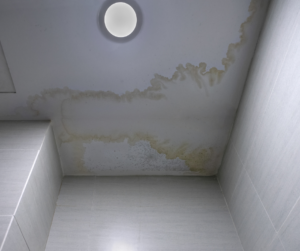 Moisture damage in basement