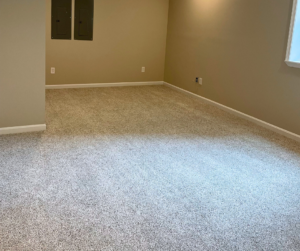 carpet flooring